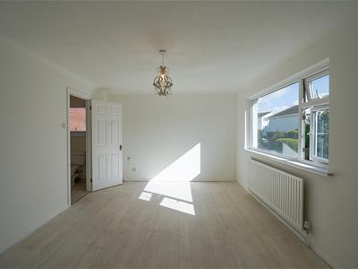 Picture 28